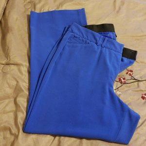 Royal Blue dress pants
